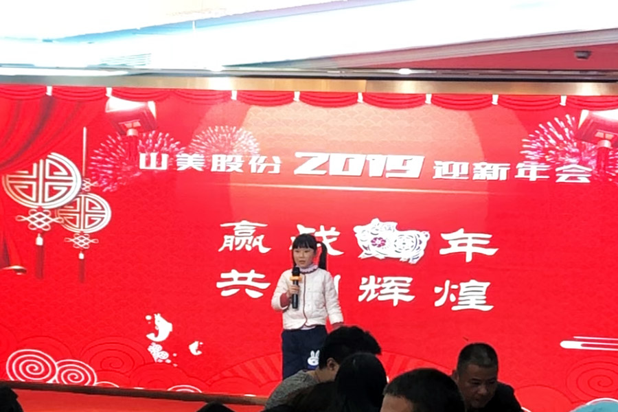 赢战猪年、共创辉煌--pp电子股份隆重举行2018年度表彰大会暨2019迎新年会